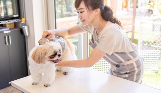 トリミングによる皮膚病への対応が重要な理由やトリミング店の選び方を解説