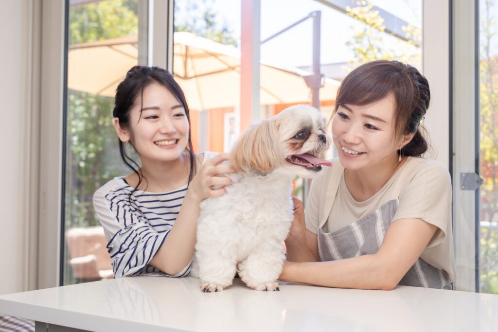 愛犬と遊ぶ女性