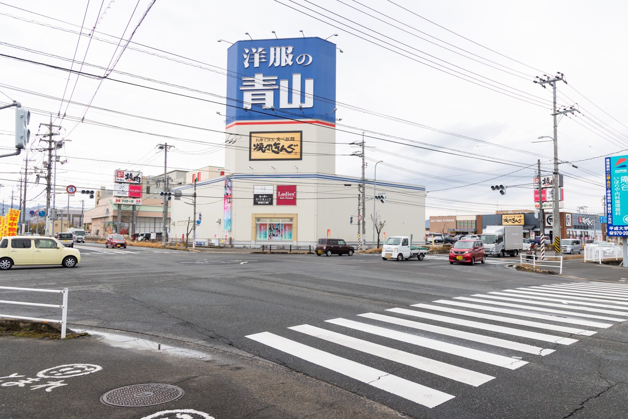 だっこ動物クリニックphoto