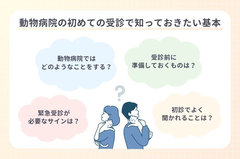 動物病院の初めての受診で知っておきたい基本