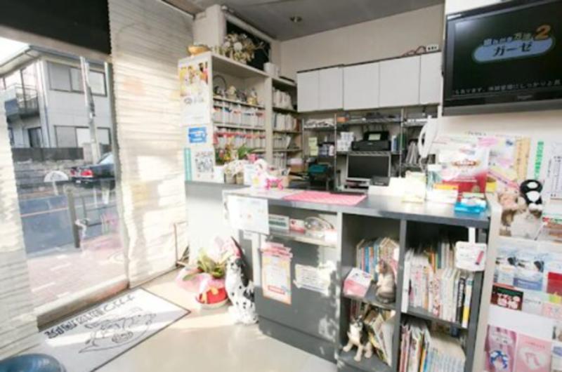 ナガワ動物病院