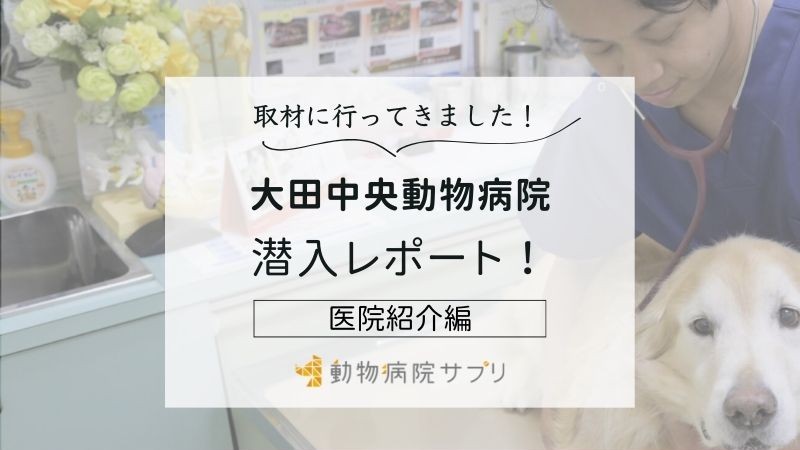 大田中央動物病院photo