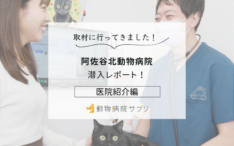 阿佐谷北動物病院photo