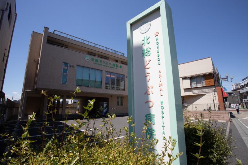 北総どうぶつ病院