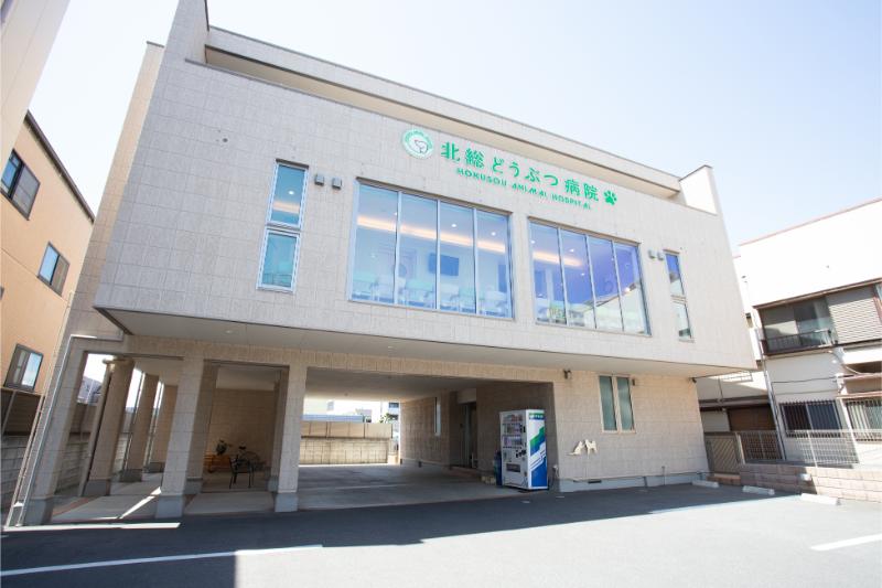 北総どうぶつ病院