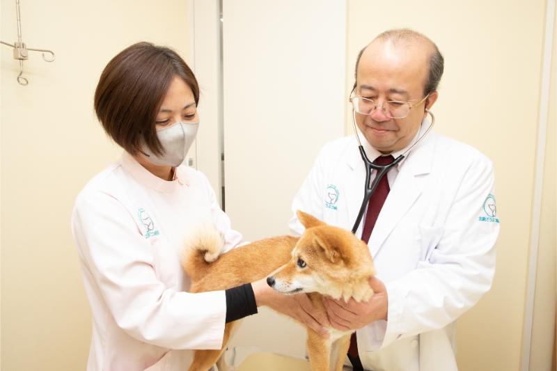 北総どうぶつ病院