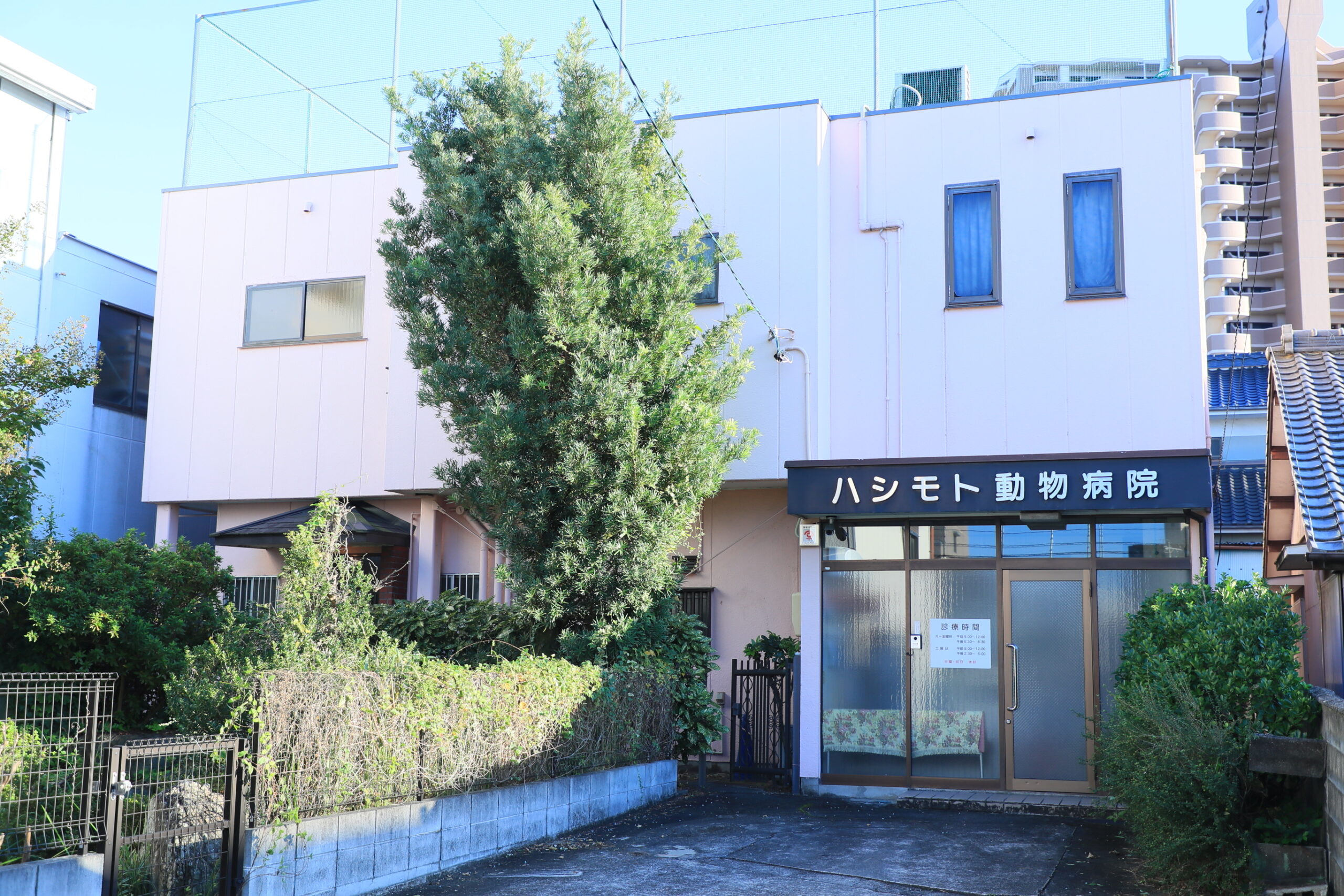 ハシモト動物病院photo