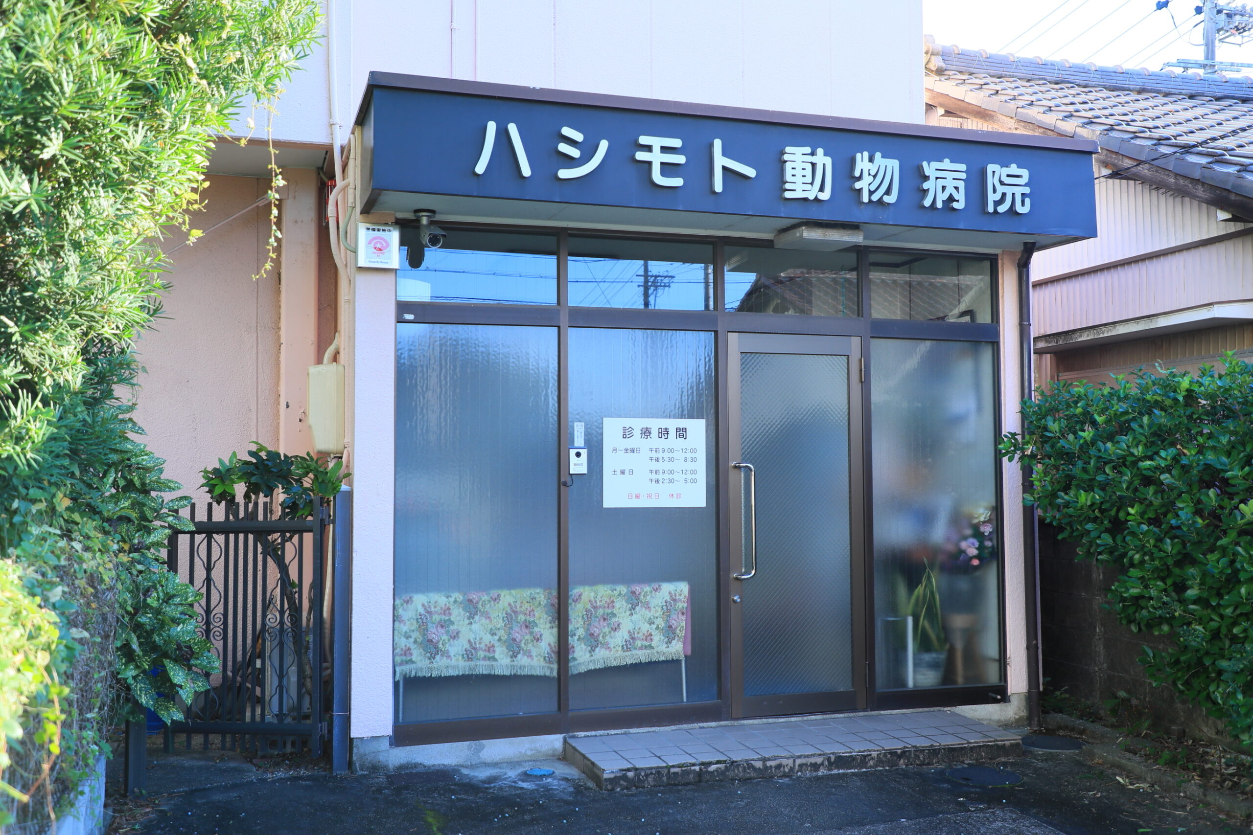 ハシモト動物病院photo