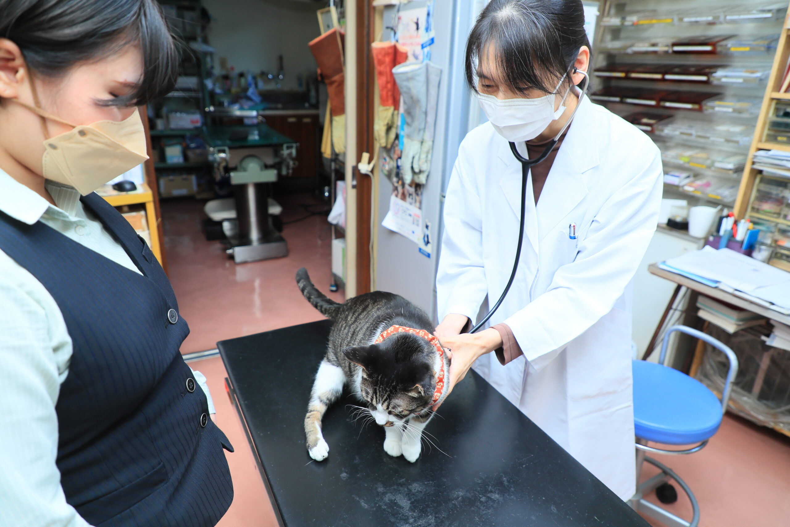 ハシモト動物病院photo