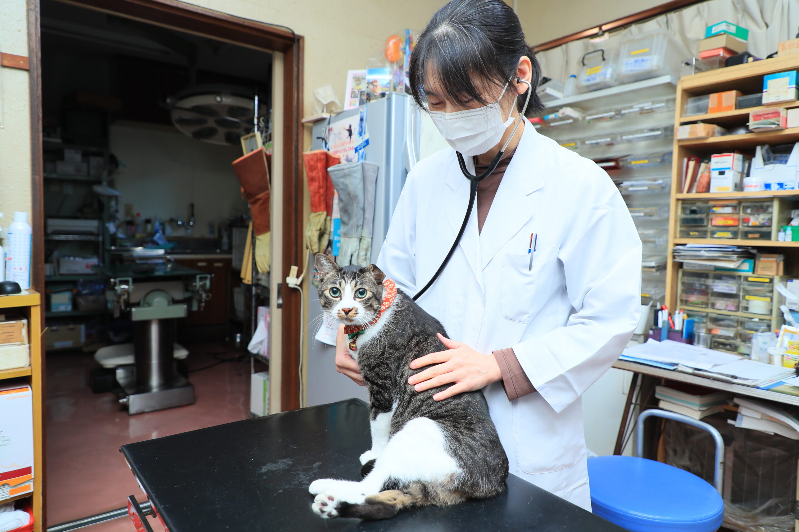 ハシモト動物病院photo