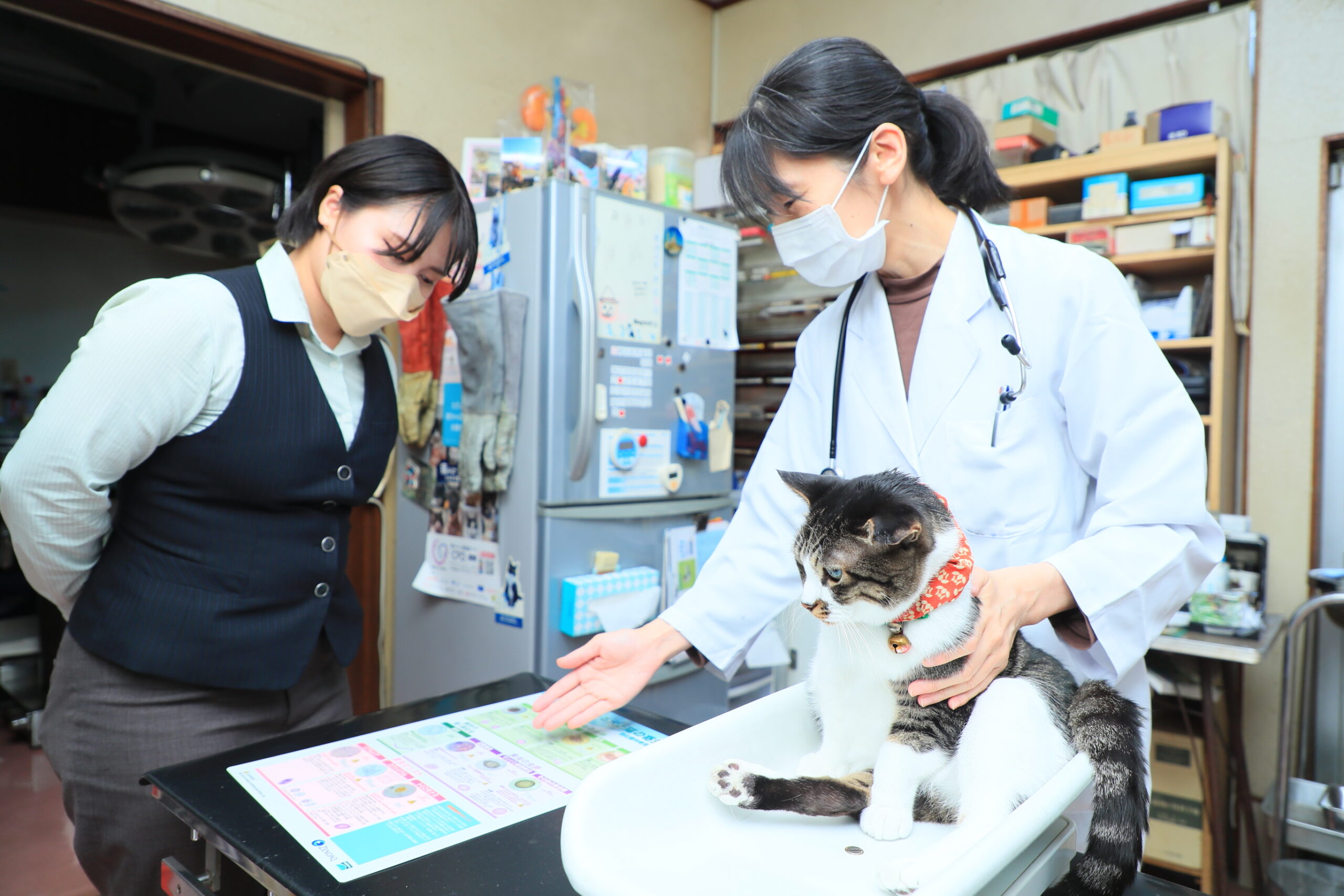 ハシモト動物病院photo