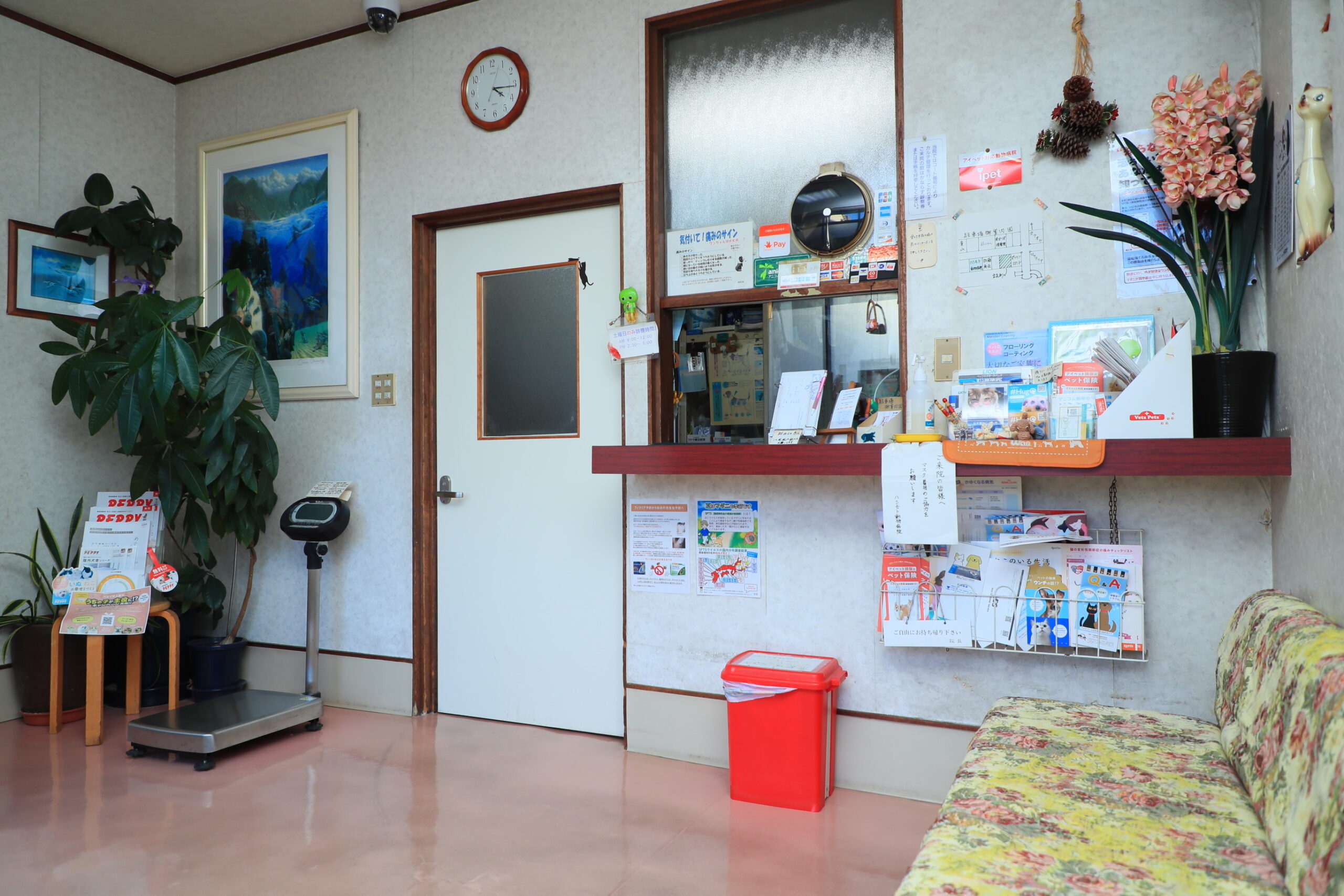 ハシモト動物病院photo