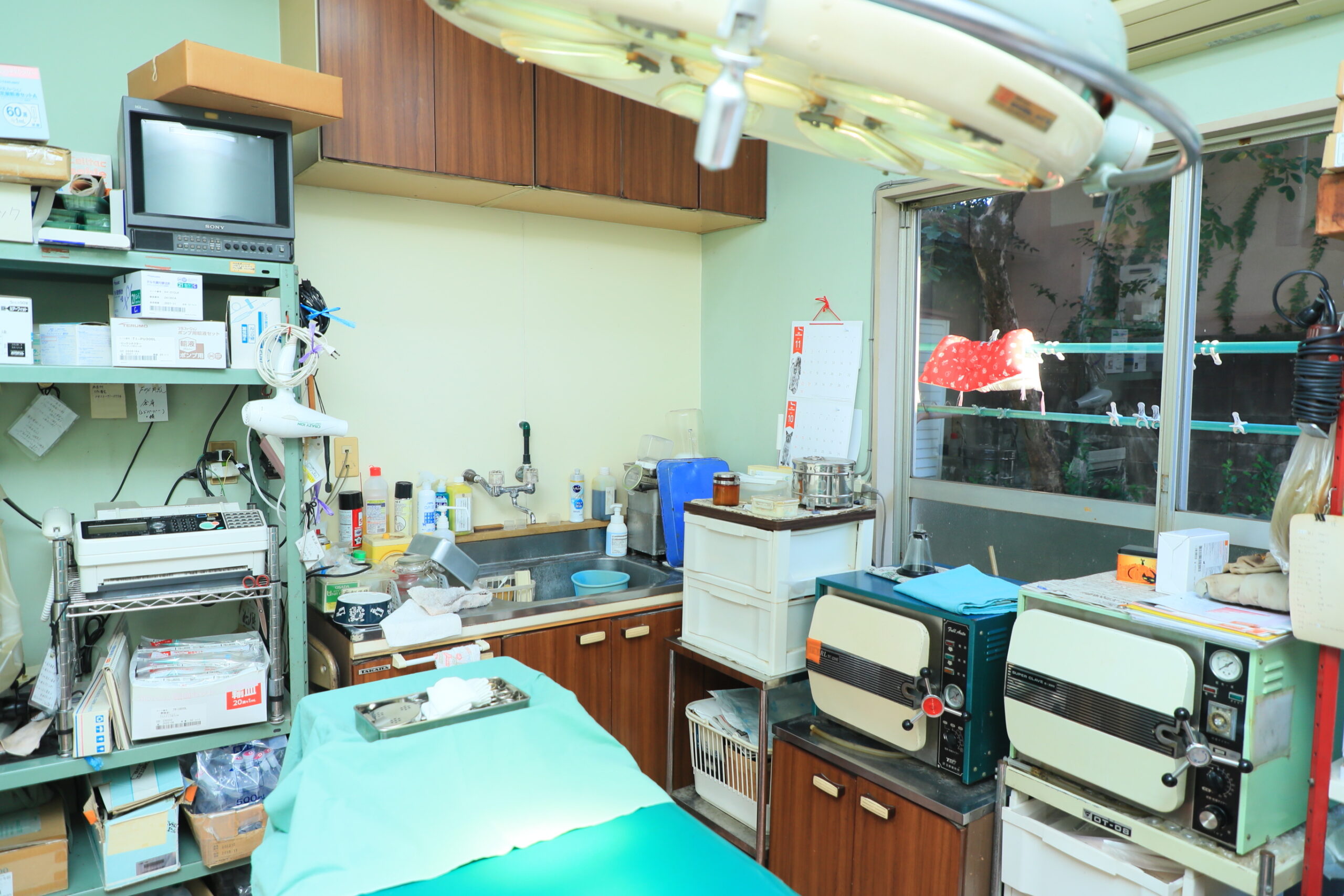 ハシモト動物病院photo