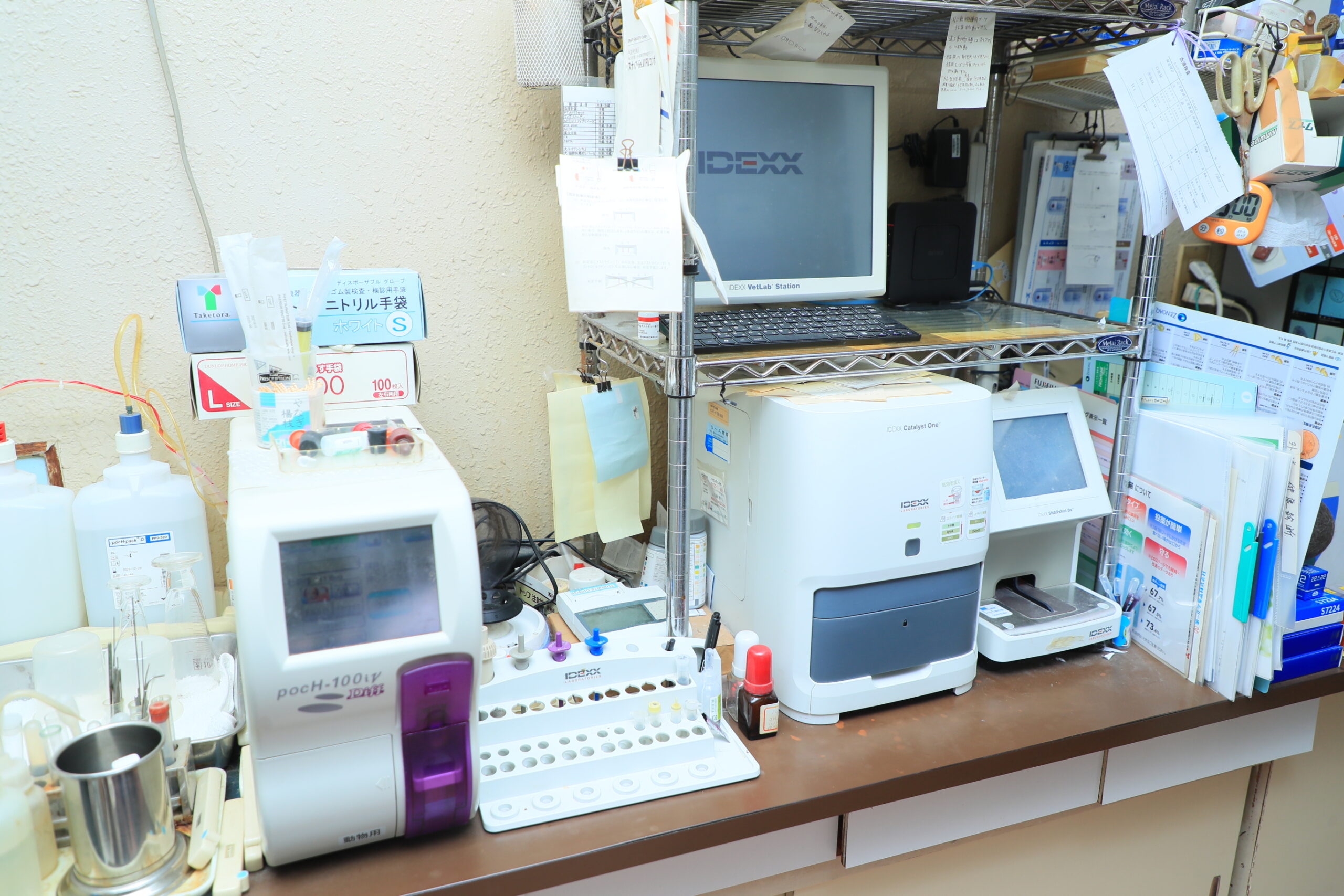 ハシモト動物病院photo