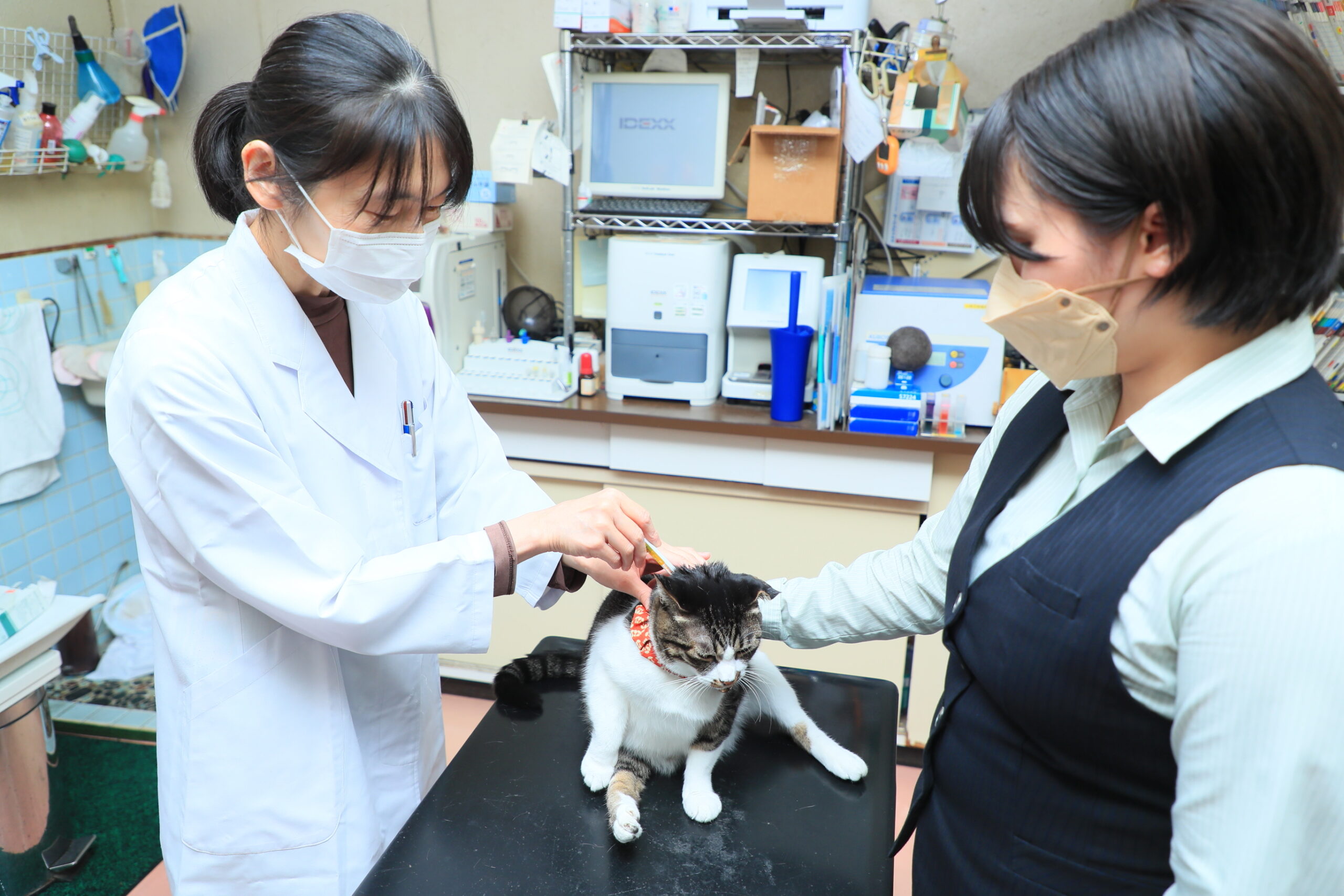 ハシモト動物病院photo