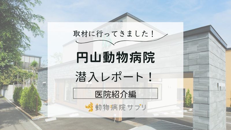 円山動物病院photo