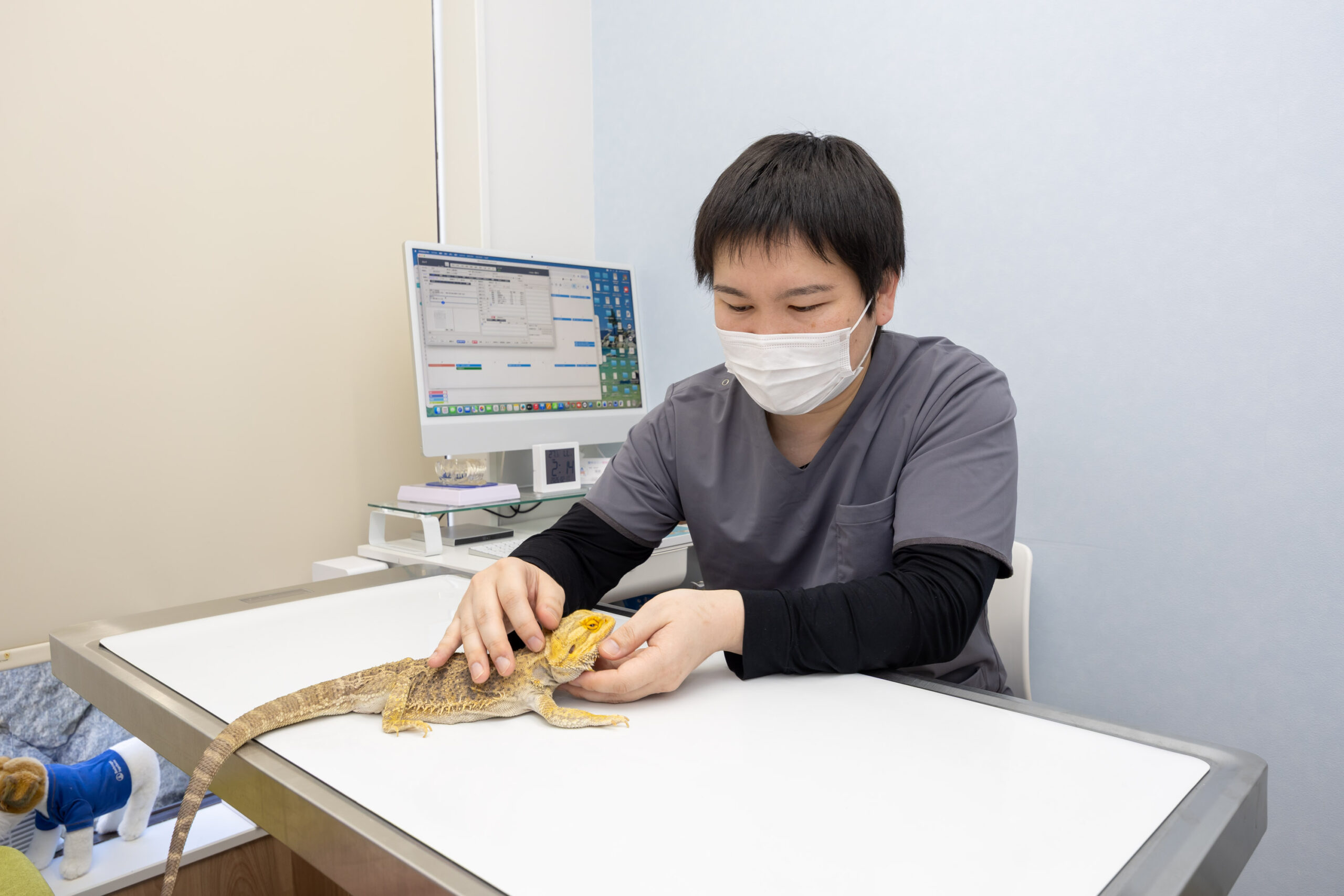 豊中エニー動物病院photo