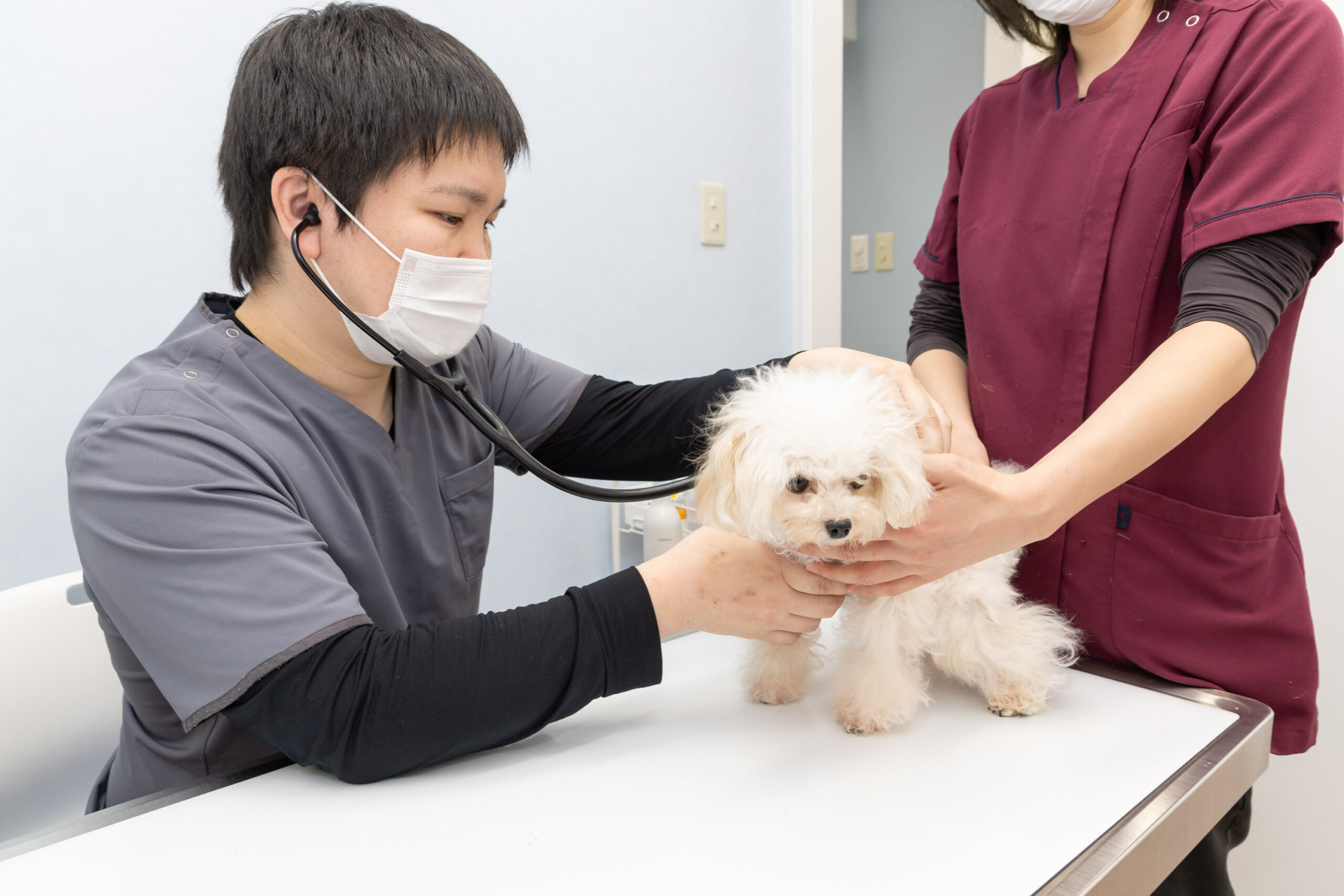 豊中エニー動物病院photo