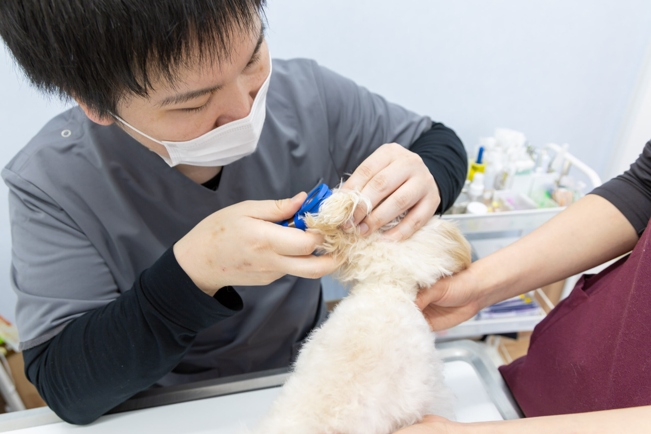 豊中エニー動物病院photo