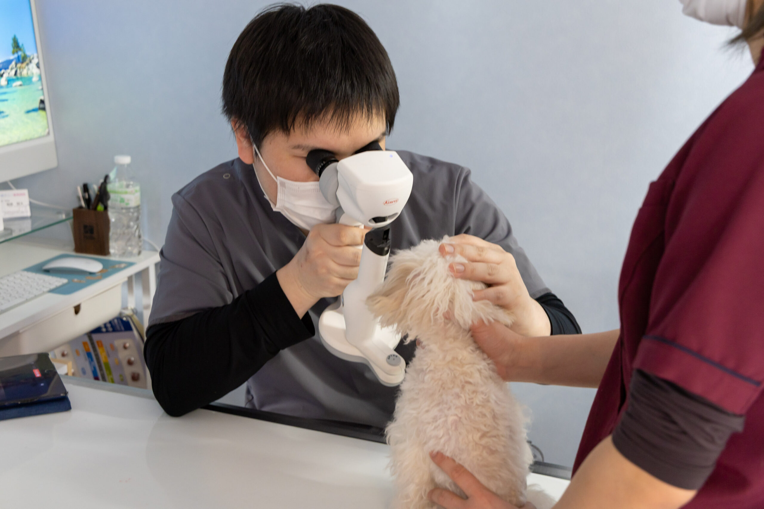 豊中エニー動物病院photo