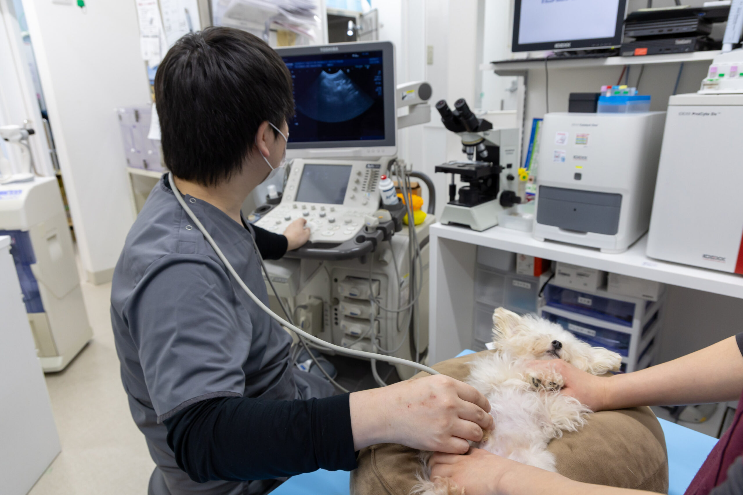 豊中エニー動物病院photo