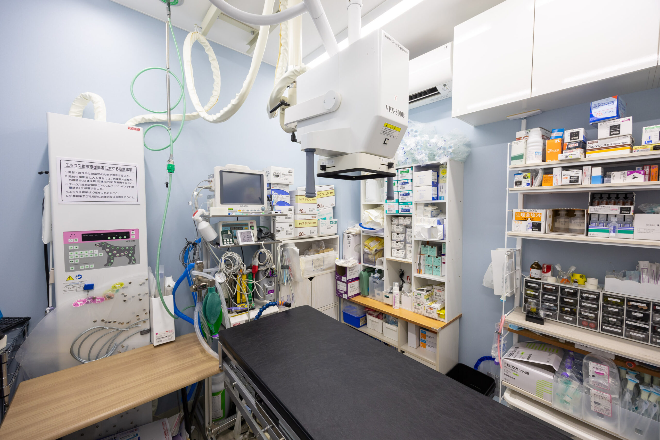 豊中エニー動物病院photo