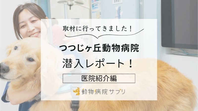 つつじヶ丘動物病院photo