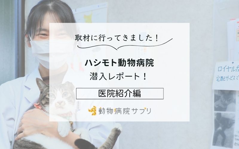 ハシモト動物病院photo