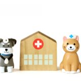 動物病院の2次診療、3次診療とは？受診のメリット・デメリットや流れなどを解説