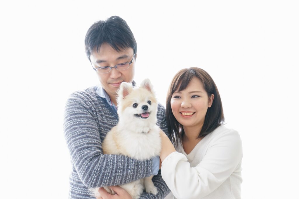 ペットの恐怖心を和らげるために飼い主ができること