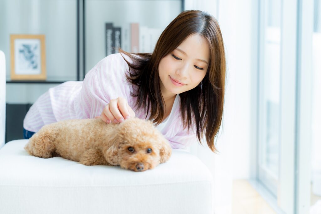 部屋でペットとくつろぐ若い女性