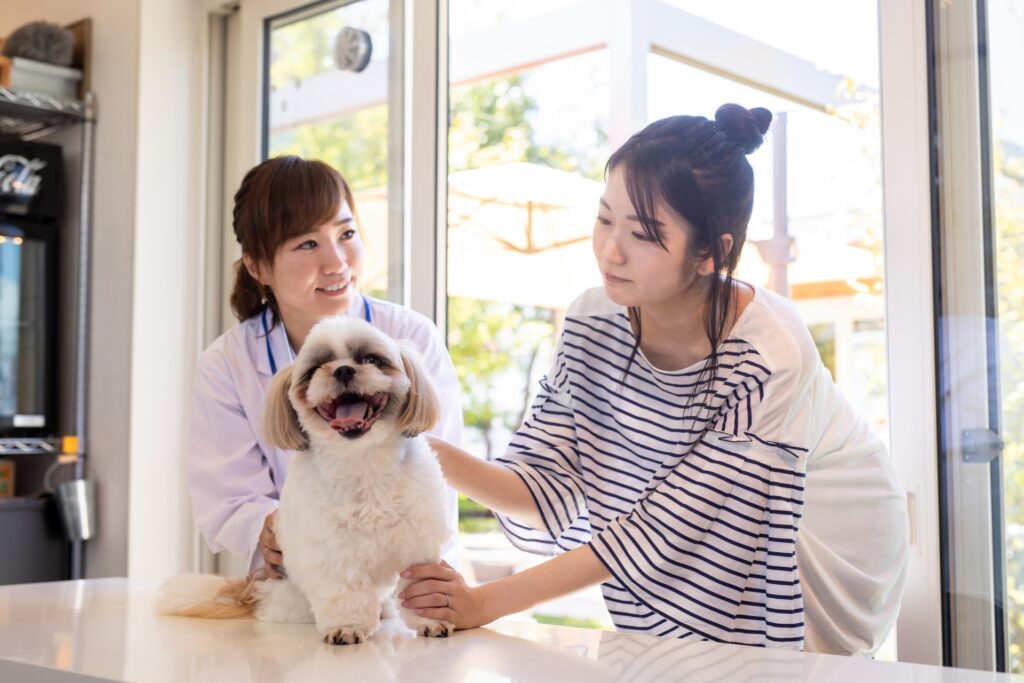 獣医さんと飼い主