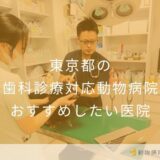 東京都の 歯科診療対応動物病院 おすすめしたい医院