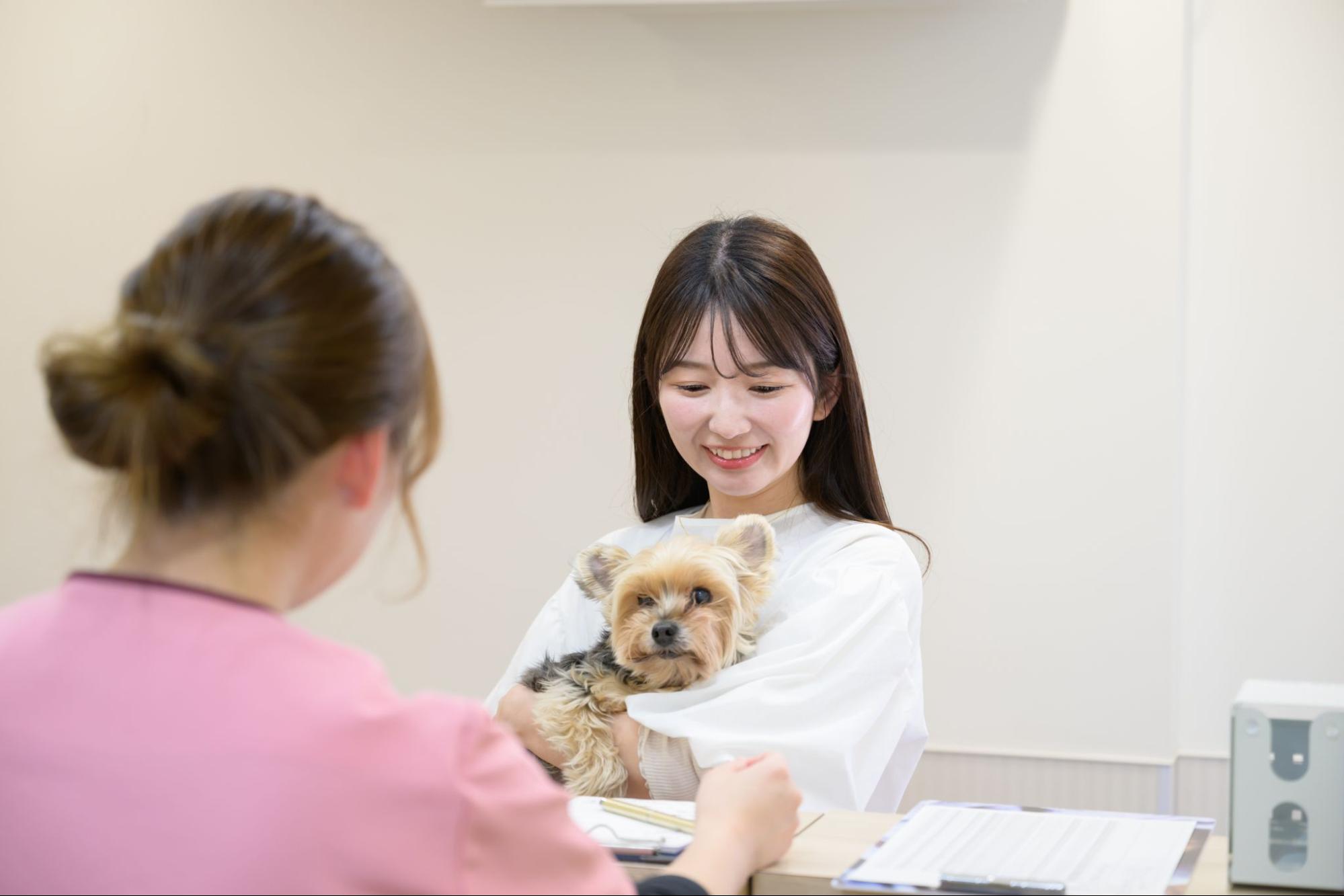 ハダ動物病院photo