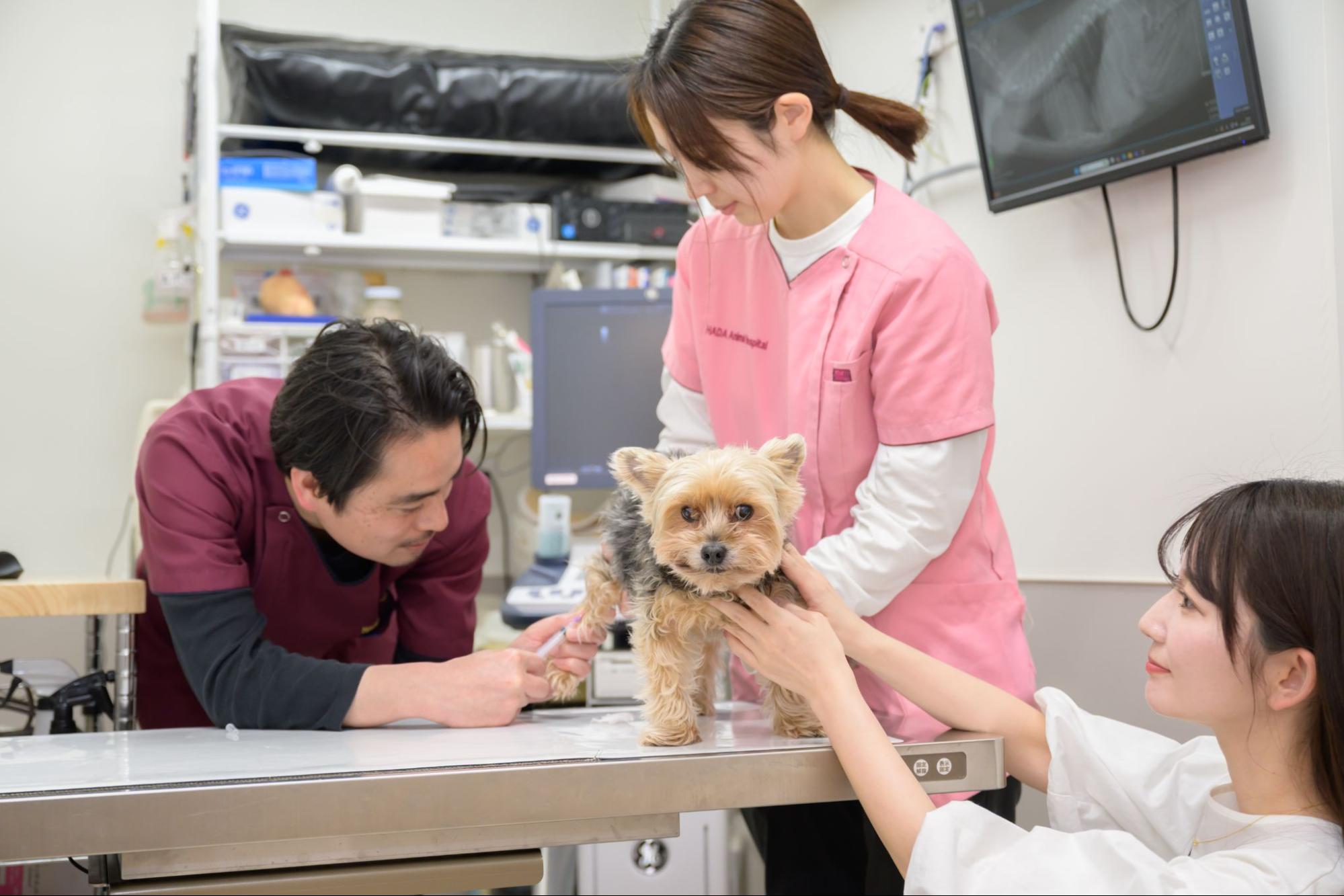 ハダ動物病院photo