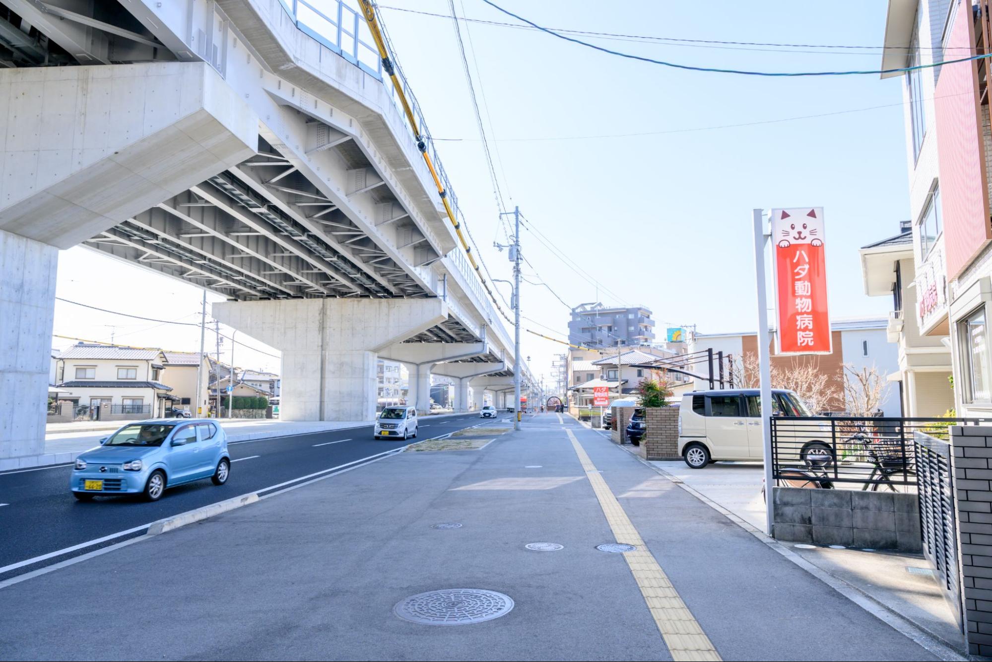 ハダ動物病院photo