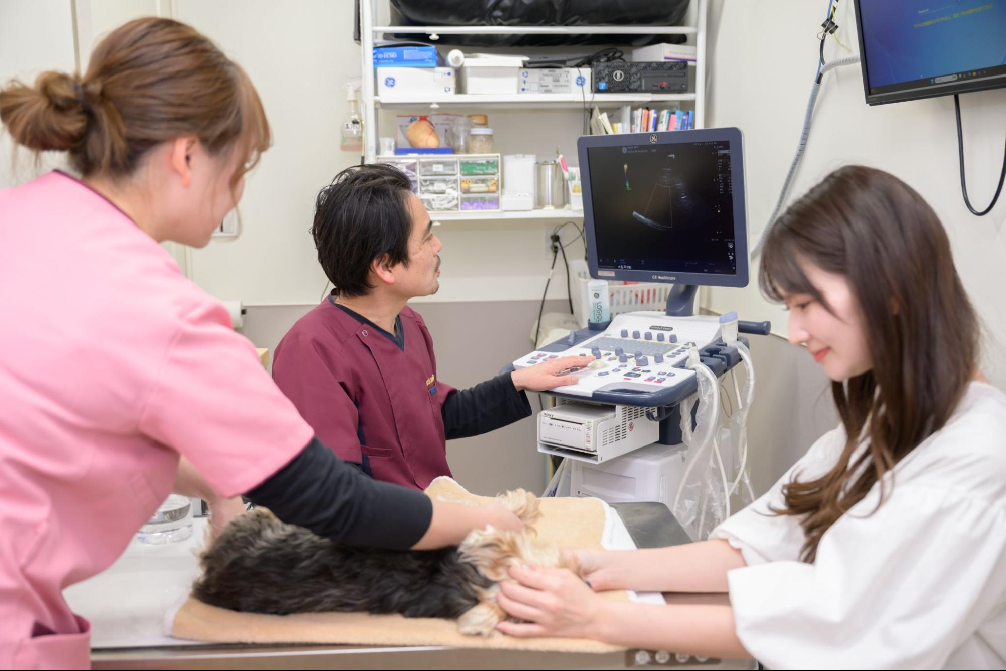 ハダ動物病院photo