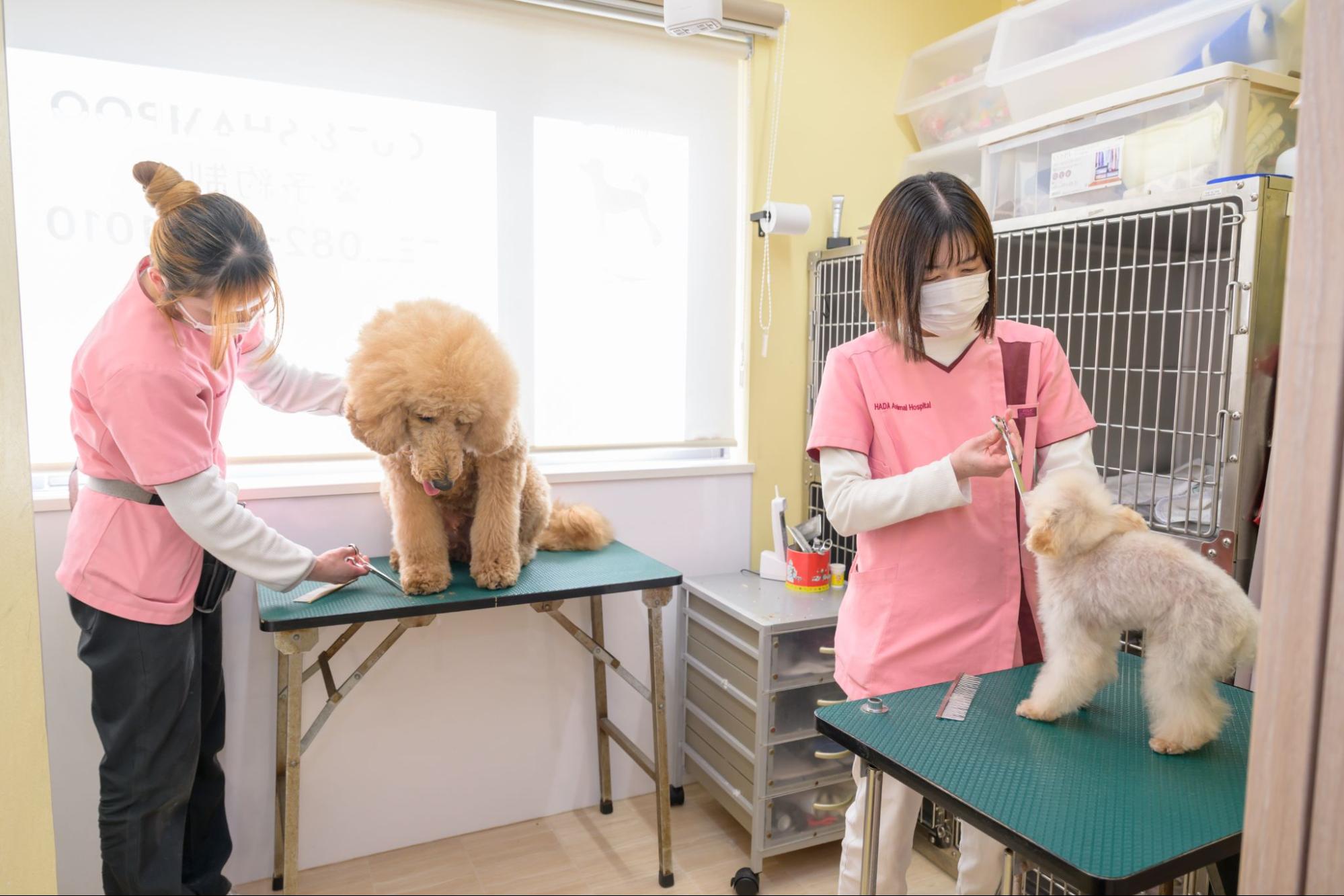 ハダ動物病院photo