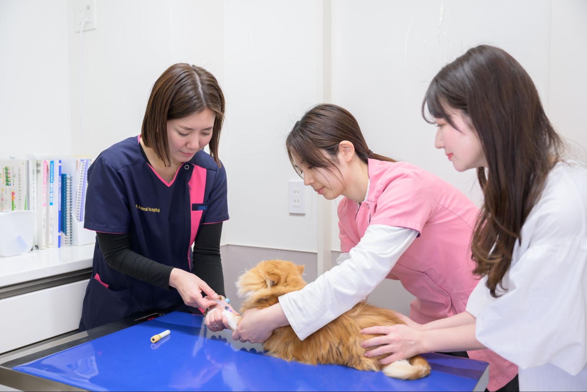 ハダ動物病院photo