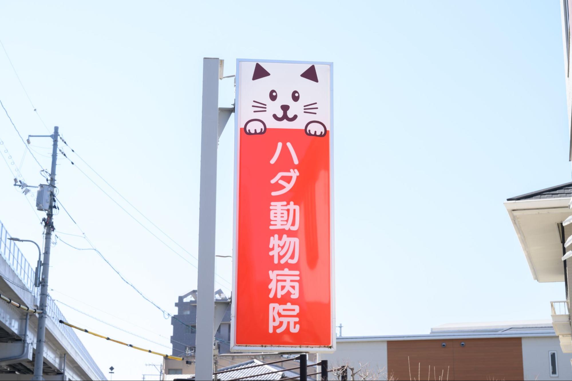 ハダ動物病院photo