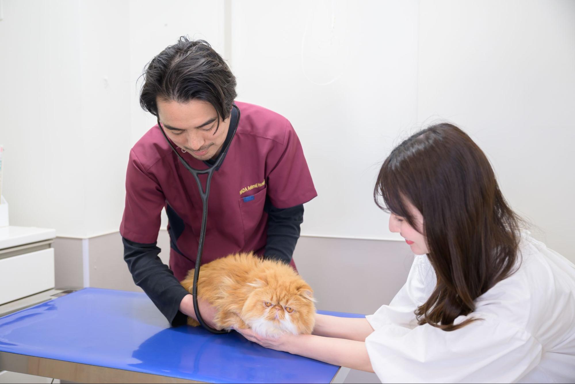 ハダ動物病院photo