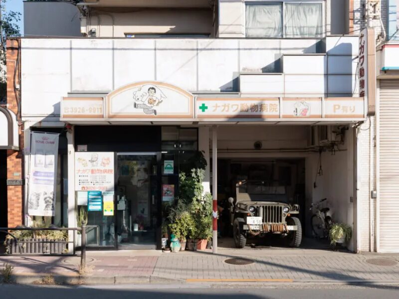 ナガワ動物病院