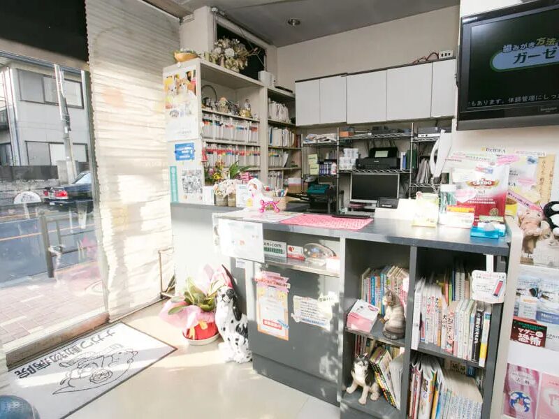 ナガワ動物病院