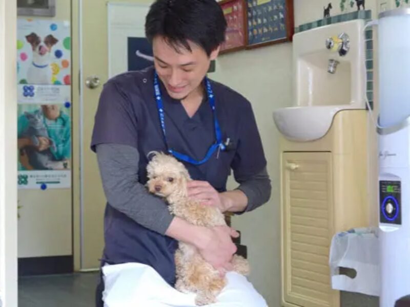 ナガワ動物病院