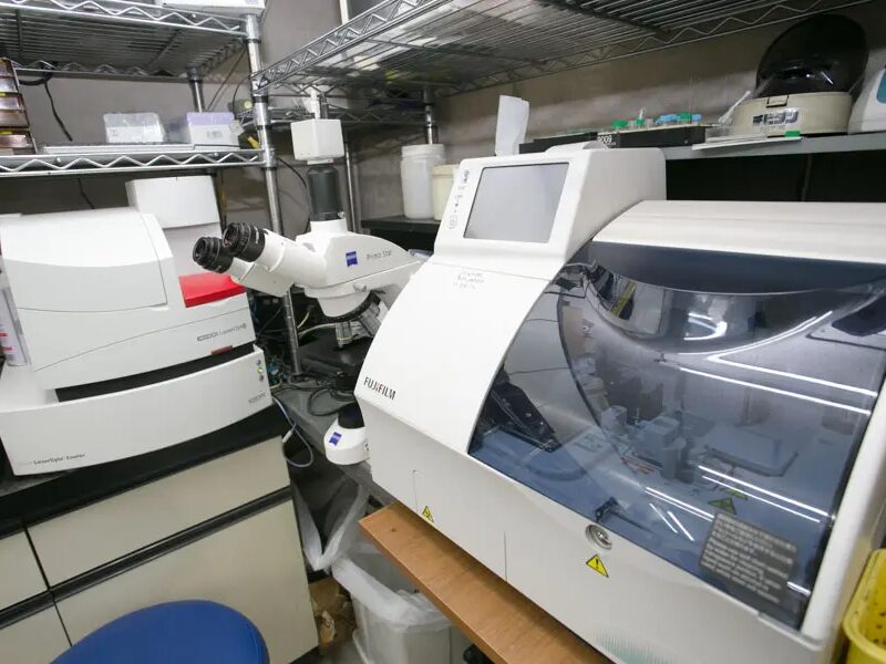 ナガワ動物病院