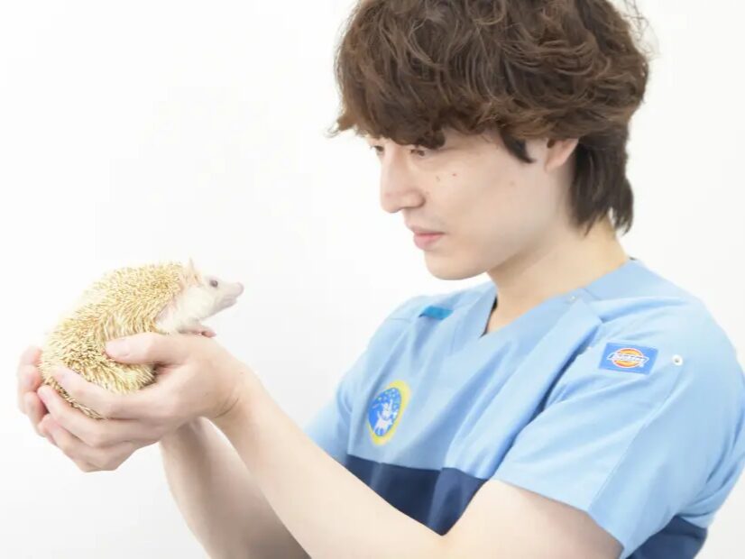 セレーネペットクリニック