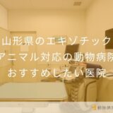 【2026年】山形県のエキゾチックアニマル対応の動物病院 おすすめしたい5医院