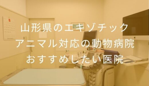 【2026年】山形県のエキゾチックアニマル対応の動物病院 おすすめしたい5医院