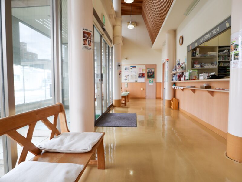 てらやま動物病院