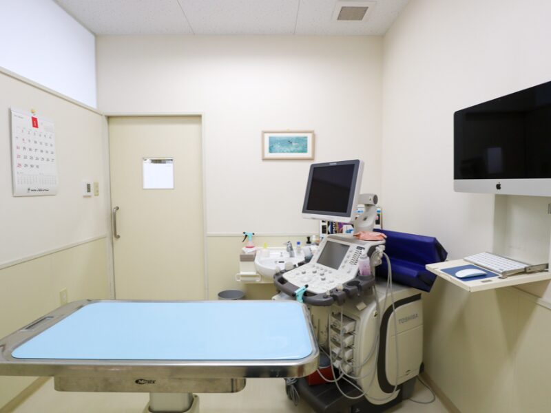 てらやま動物病院